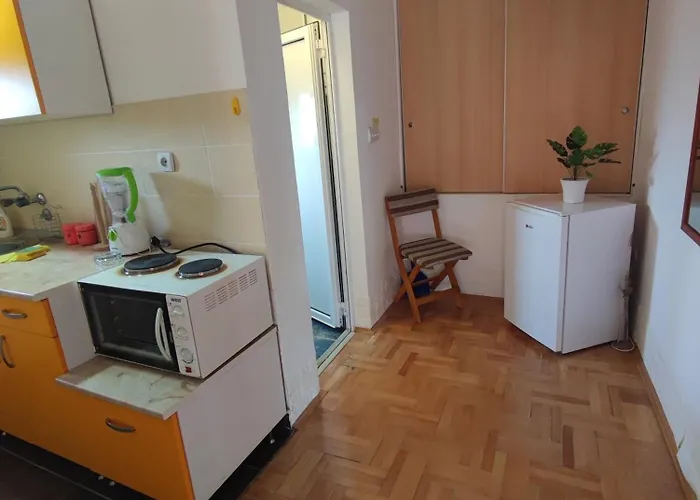 Latinski * Soko Banja